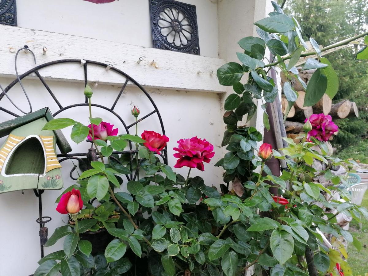 Villa Viriditas เอลบิงเงอโรเดอ ภายนอก รูปภาพ